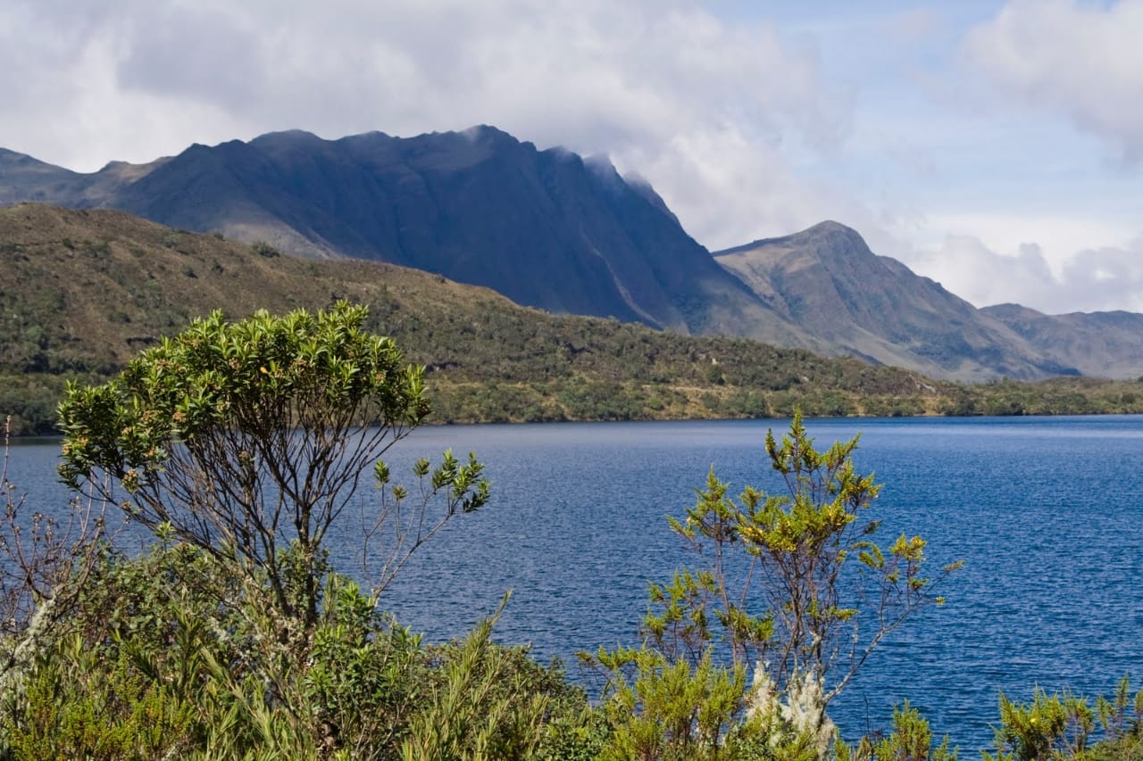 Uso responsable del agua, clave para enfrentar el cambio climático y el coronavirus Uso responsable del agua, clave para enfrentar el cambio climático y el coronavirus