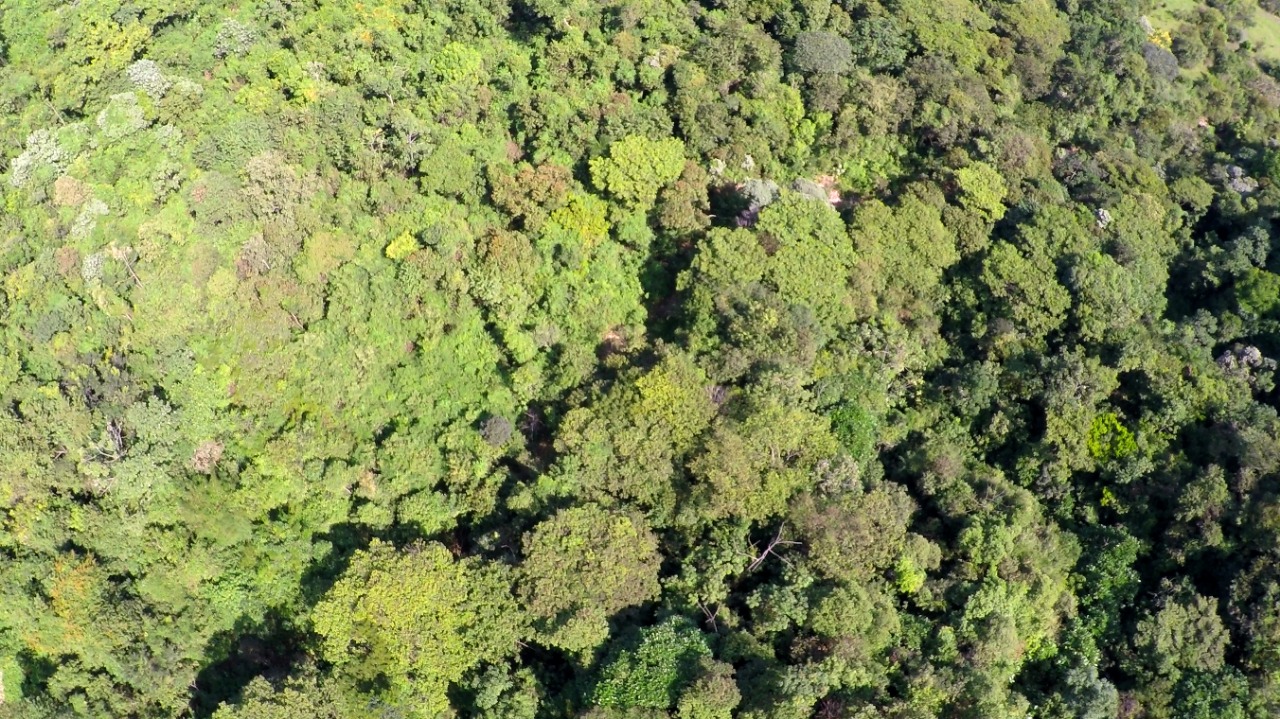MinAmbiente invita a dos entidades sin ánimo de lucro para administrar los recursos del proyecto “Catastro multipropósito para la protección ambiental de áreas para fortalecer la gestión forestal sostenible”