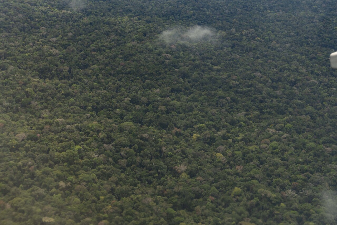 Minambiente seleccionó entidad sin ánimo de lucro para administrar recursos del proyecto “Catastro multipropósito para la protección ambiental de áreas para fortalecer la gestión forestal sostenible” Minambiente seleccionó entidad sin ánimo de lucro para administrar recursos del proyecto “Catastro multipropósito para la protección ambiental de áreas para fortalecer la gestión forestal sostenible”