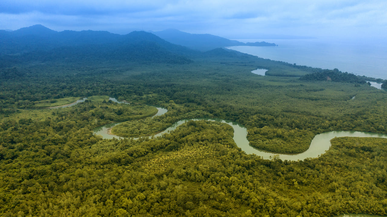 Colombia continúa avanzando en materia ambiental Colombia continúa avanzando en materia ambiental