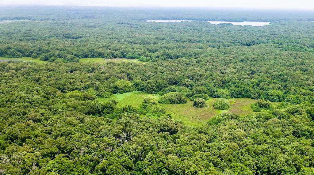 Familias que conservan el bosque en Caquetá recibieron cerca de 60 millones de pesos