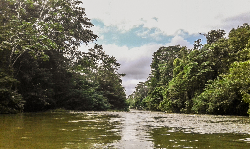 $13.000 millones serán invertidos para la restauración en el Parque Nacional Natural Nudo de Paramillo