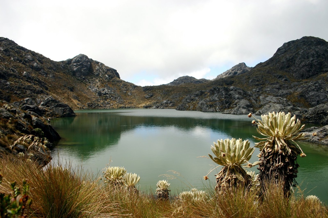 Ministerio de Ambiente destina 15 millones de dólares para invertir en 16 páramos de Colombia Ministerio de Ambiente destina 15 millones de dólares para invertir en 16 páramos de Colombia