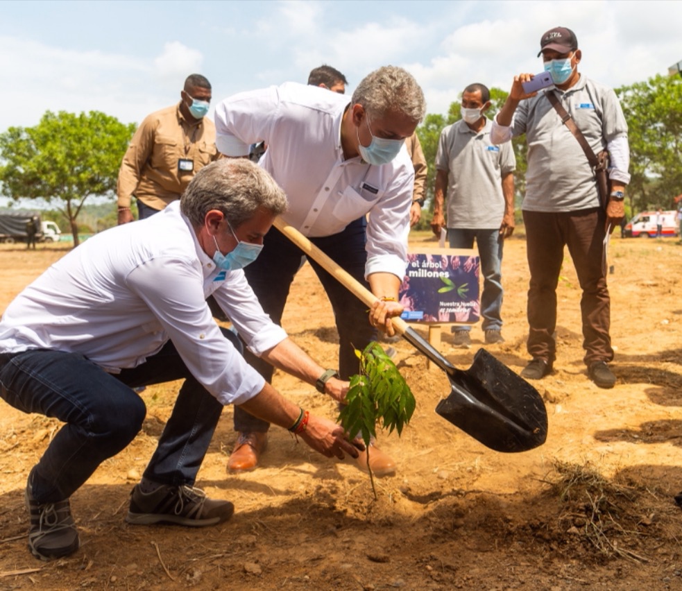 «Ya hemos sembrado un árbol por cada colombiano» «Ya hemos sembrado un árbol por cada colombiano»