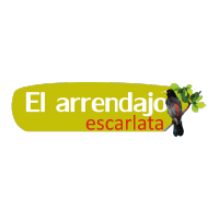 Arrendajo Escarlata