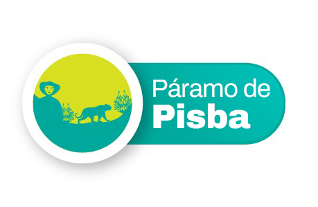 Pisba avanza
