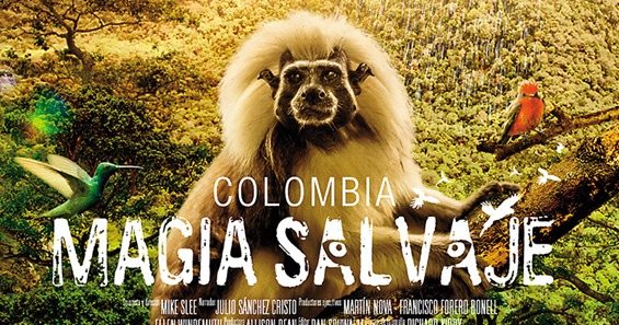 ¡La magia de la biodiversidad colombiana en la pantalla de todos! ¡La magia de la biodiversidad colombiana en la pantalla de todos!