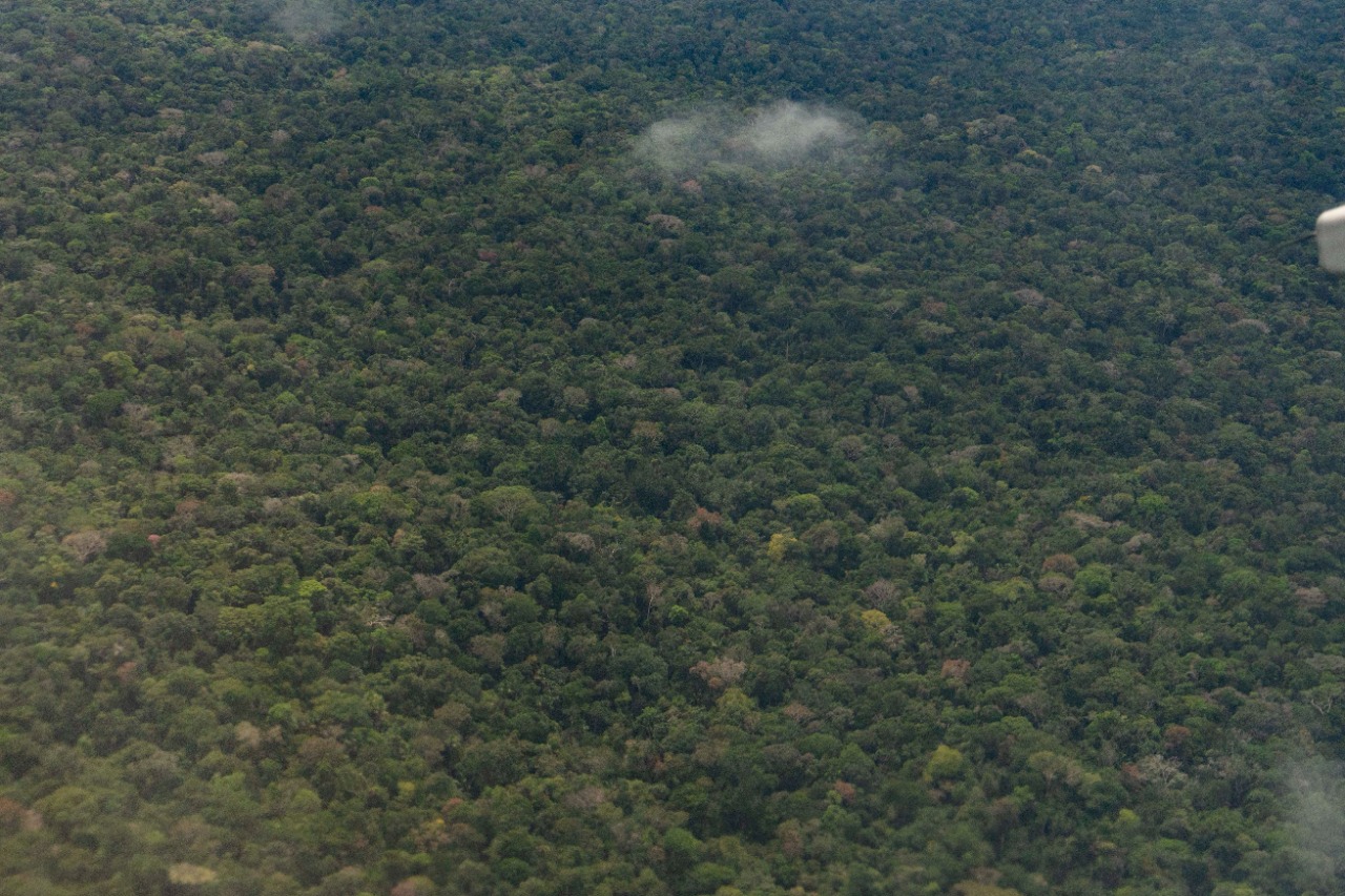 Colombia continúa reduciendo la deforestación anual, pasando de un 10% al 19.2% Colombia continúa reduciendo la deforestación anual, pasando de un 10% al 19.2%