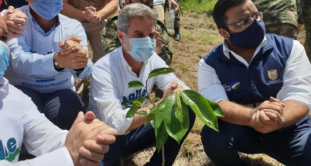 Más de 1.450.000 árboles nuevos sembrados en el país Más de 1.450.000 árboles nuevos sembrados en el país