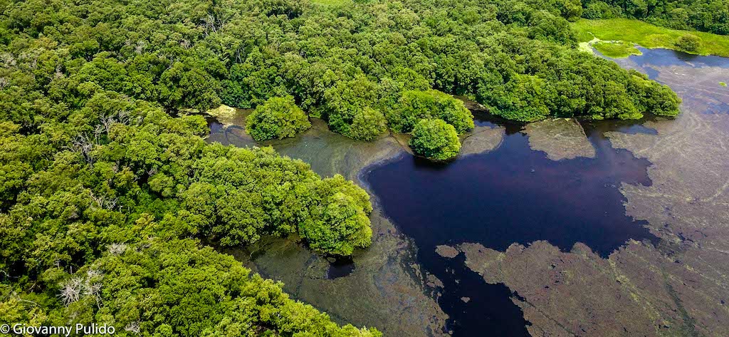 Presidente Iván Duque sancionó la primera Ley de Regalías que destina recursos para fortalecer el Sistema Nacional Ambiental Presidente Iván Duque sancionó la primera Ley de Regalías que destina recursos para fortalecer el Sistema Nacional Ambiental