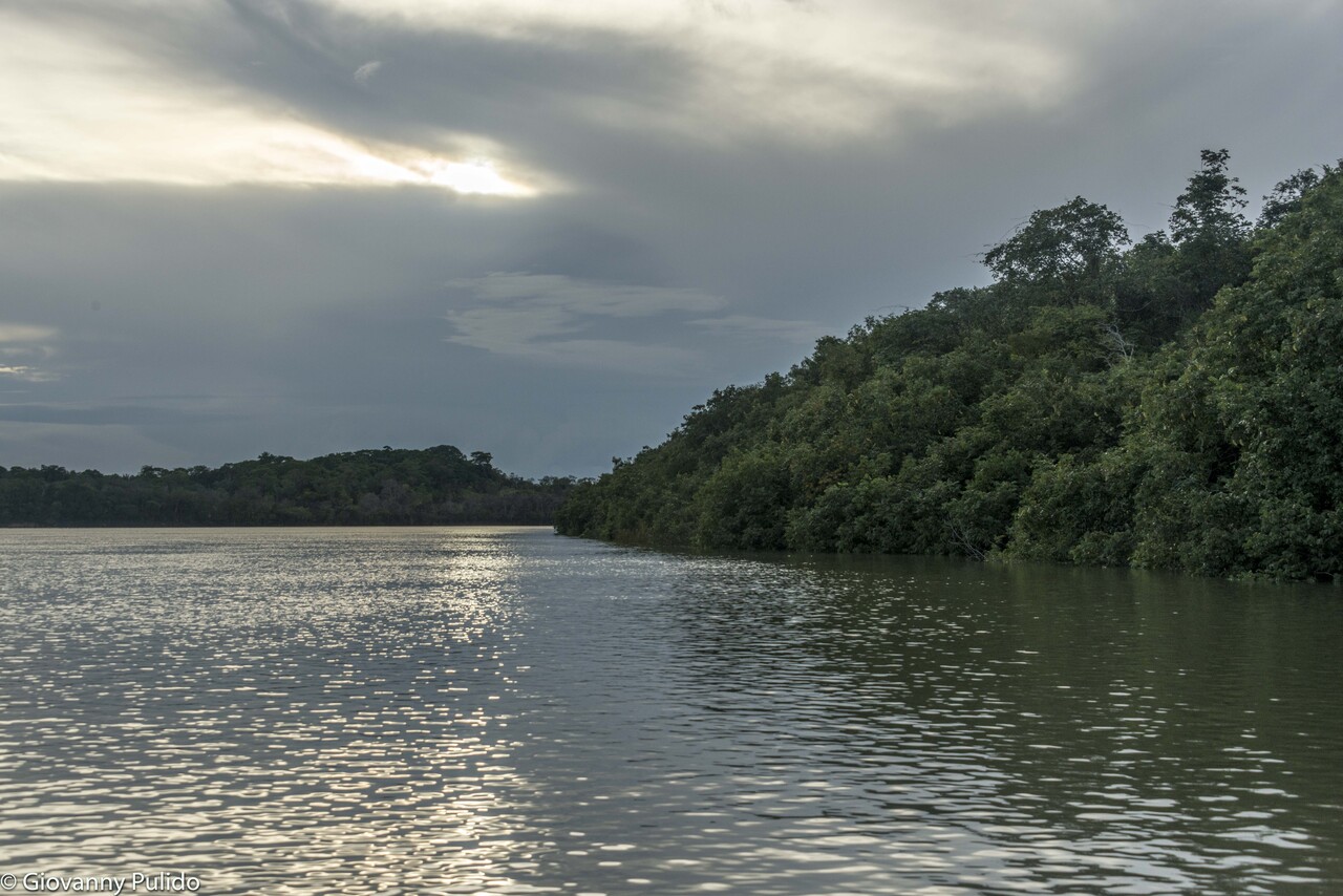 Gobierno lanzó trabajo con Grupo de Expertos sobre el nuevo Marco Global para la Biodiversidad Gobierno lanzó trabajo con Grupo de Expertos sobre el nuevo Marco Global para la Biodiversidad