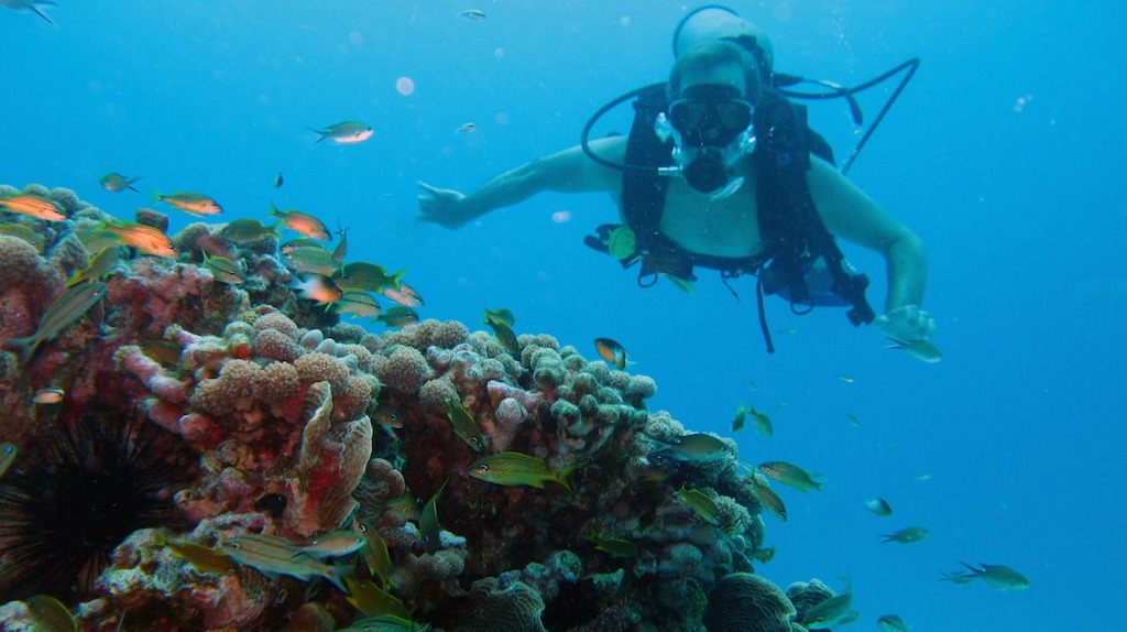 Reserva de Biosfera Seaflower: todos pueden participar en la elaboración del informe que se le presentará a UNESCO Reserva de Biosfera Seaflower: todos pueden participar en la elaboración del informe que se le presentará a UNESCO