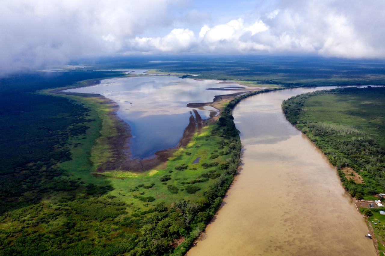 Más de 30 expertos de talla mundial harán parte de la celebración global del Día Mundial del Medio Ambiente Más de 30 expertos de talla mundial harán parte de la celebración global del Día Mundial del Medio Ambiente
