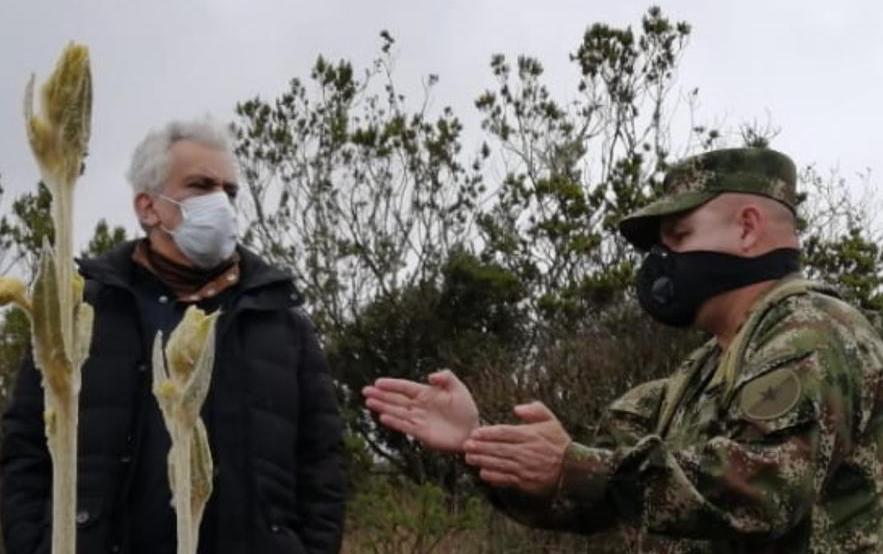 La siembra de árboles continúa, pese al aislamiento preventivo obligatorio La siembra de árboles continúa, pese al aislamiento preventivo obligatorio
