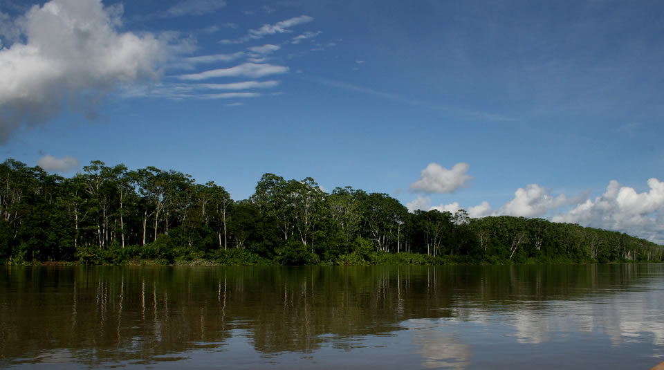 Herencia Colombia, una realidad