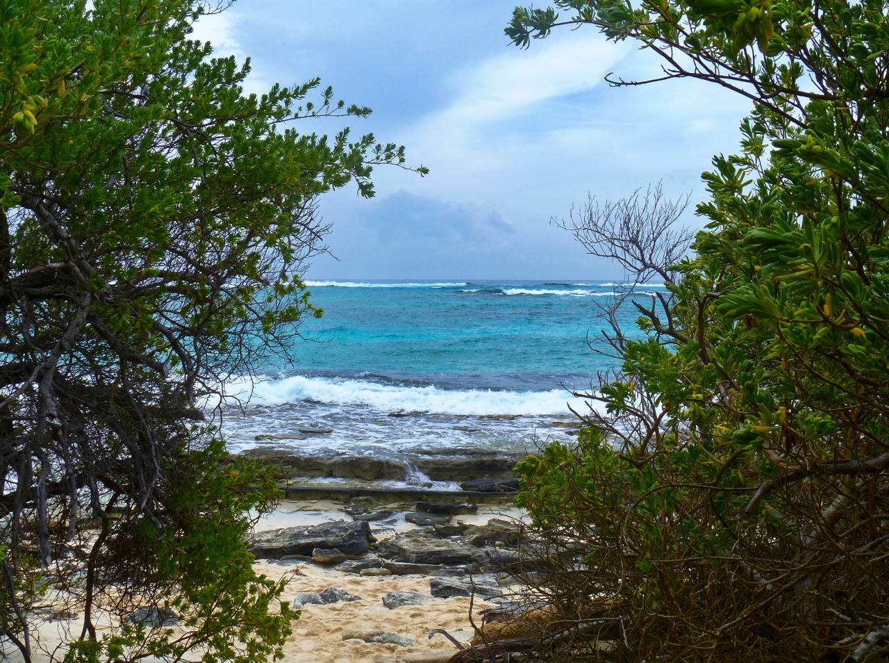 Minambiente invita a seguir recomendaciones para cuidado del medio ambiente con reapertura de playas Minambiente invita a seguir recomendaciones para cuidado del medio ambiente con reapertura de playas