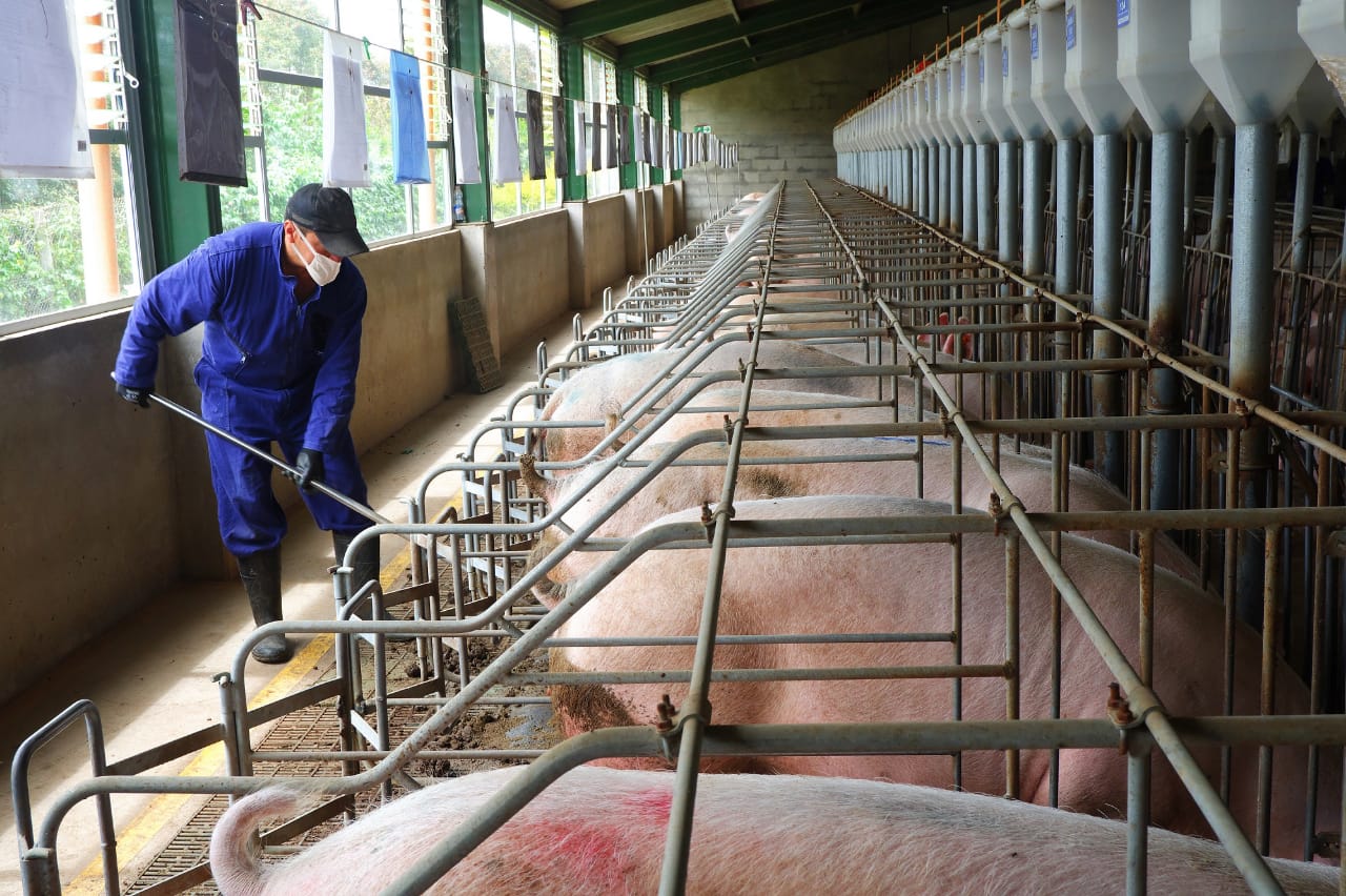 Colombia inicia acciones para la gestión sostenible de la biomasa residual Colombia inicia acciones para la gestión sostenible de la biomasa residual