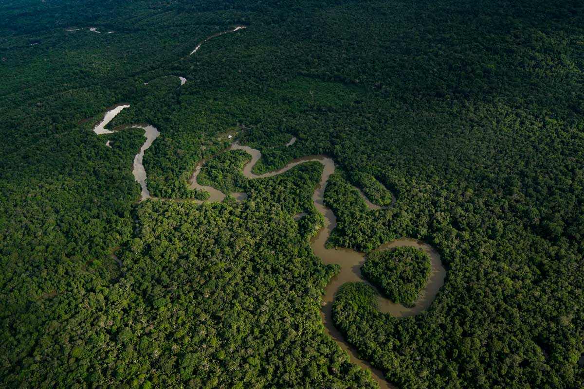 Con gobernanza forestal, Minambiente le apunta a la conservación y al uso sostenible de los bosques Con gobernanza forestal, Minambiente le apunta a la conservación y al uso sostenible de los bosques