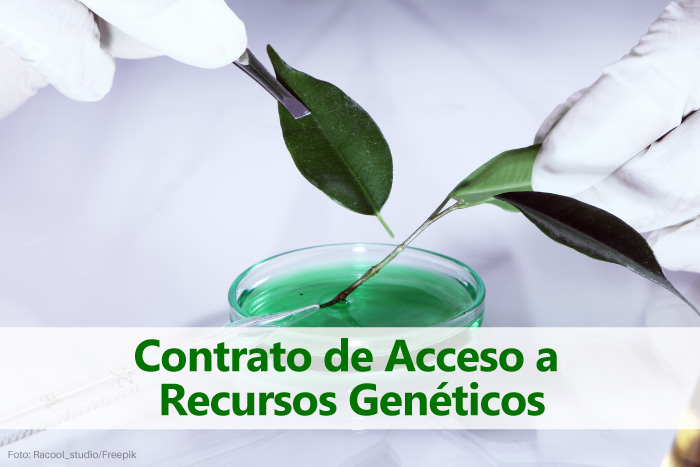 contrato-de-acceso-a-recursos-geneticos