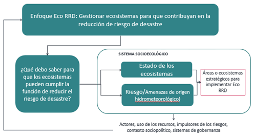 mapa conceptual de enfoque de ECO RRD