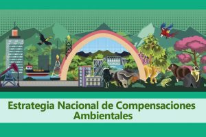 banner alusivo a la estrategia nacional de compensaciones ambientales