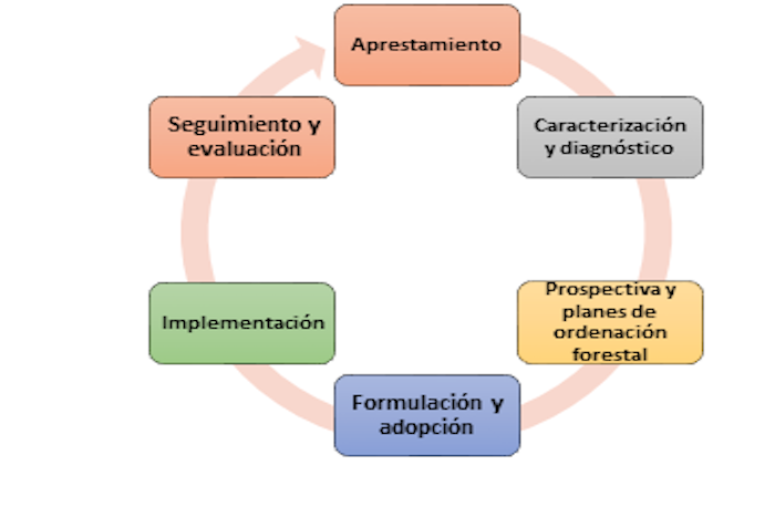 fases de ordenacion forestal desarrollo sostenible de bosques 