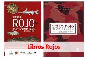 portadas de libros rojos de especies de aves y peces de Colombia en peligro