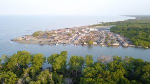 foto vista aérea de los manglares en la comunidad de bocacerrada, sucre