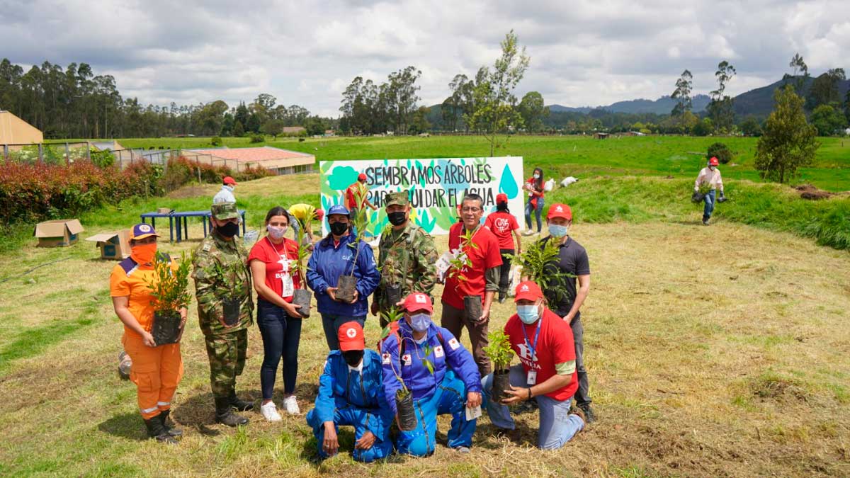 Minambiente, Bavaria, Ejército y ProColombia siembran más de 60 mil árboles en nueve regiones