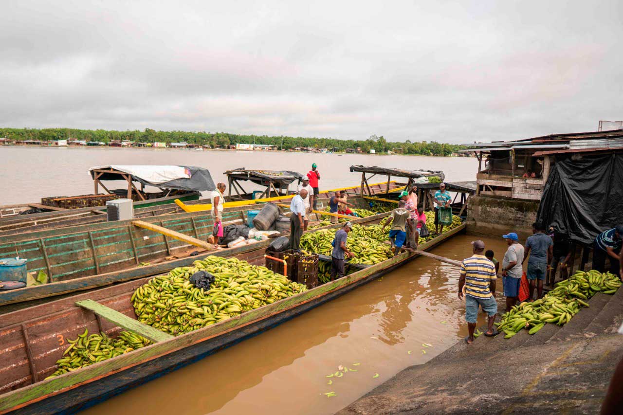 Minambiente acompaña un proyecto que empodera a comunidades del Chocó Minambiente acompaña un proyecto que empodera a comunidades del Chocó