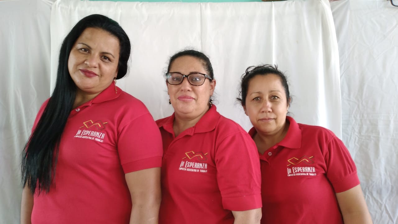 Mujeres campesinas de Boyacá transforman calcetas de plátano en artesanías Mujeres campesinas de Boyacá transforman calcetas de plátano en artesanías