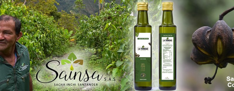 Imagen de la Plantación y Aceite extraido de la planta Sacha Inchi de la Empresa Sainsa en Santander