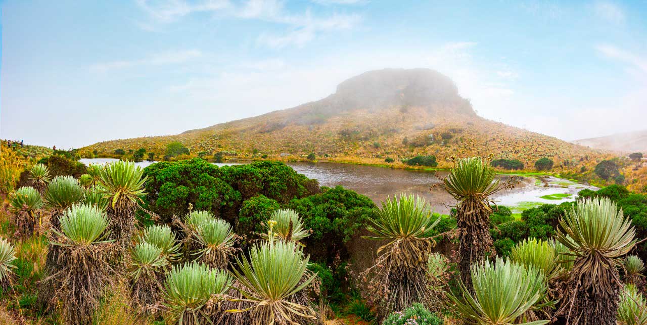 Si tiene una solución innovadora para enfrentar el cambio climático, participe en Actúa E2050 Colombia Si tiene una solución innovadora para enfrentar el cambio climático, participe en Actúa E2050 Colombia
