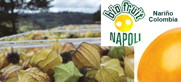 Imagen de Frutas de BioFruit Napoli de Nariño