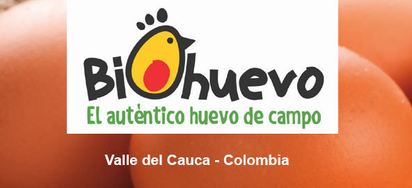 Imagen de Huevos de BioHuevo del Valle del Cauca