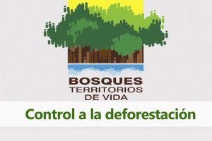pieza gráfica con titulo "control a la deforestacion". Al fondo el logotipo con arboles pixelados y titulo "bosques territorios de vida"