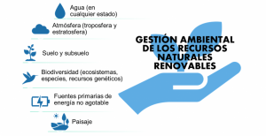 Infografía de los elementos en la gestión ambiental de los recursos naturales renovables