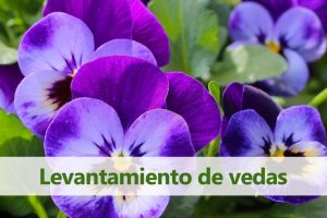 levantamiento-de-vedas-flora-silvestre