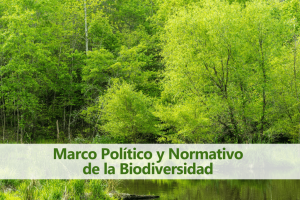 banner con titulo de marco politico y normativo de la biodiversidad. Al fondo un bosque y un rio con árboles tupidos y verdes