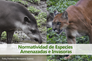 banner con titulo de normatividad de especies amenazadas e invasoras. al fondo la foto de un puma y un tapir