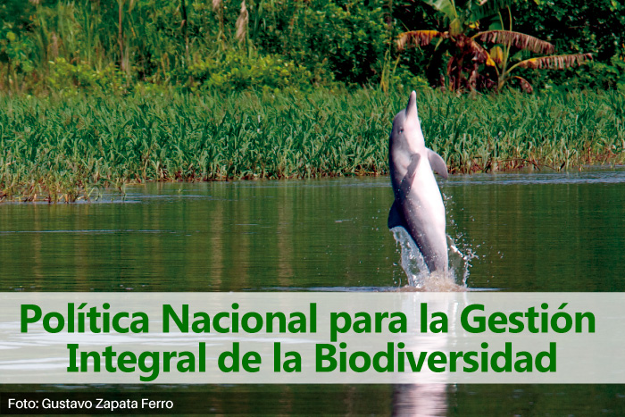 pieza gráfica con titulo "politica nacional para la gestion integral de la biodiversidad. Al fondo un delfin saltando fuera del agua