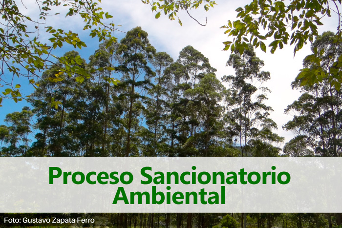 proceso-sancionatorio-ambiental