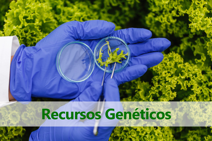 pieza gráfica con titulo "recursos geneticos". Al fondo unas manos sosteniendo una muestra de una planta