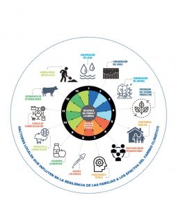 Infografia que muestra los elementos resiliencia como una capacidad para enfrentar un evento de cambio climatico