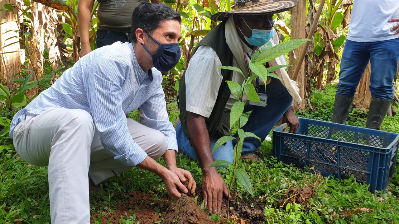 Caquetá sembrará 4,6 millones de árboles al 2022