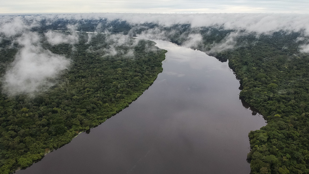 Despliegue del SINA en la Amazonía deja grandes resultados Despliegue del SINA en la Amazonía deja grandes resultados