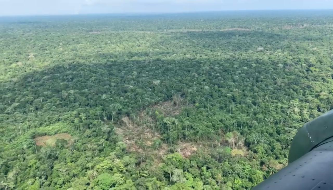 Duro golpe a deforestadores en Guaviare Duro golpe a deforestadores en Guaviare