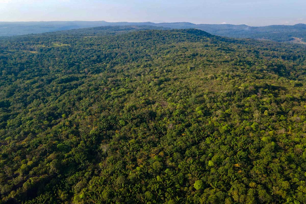 Mercados de Carbono en Colombia: Webinars para ampliar el conocimiento y conocer sus ventajas Mercados de Carbono en Colombia: Webinars para ampliar el conocimiento y conocer sus ventajas