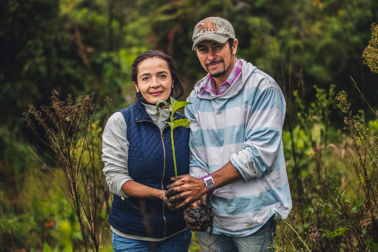 Compañía multinacional sembrará 2200 árboles en dos municipios de Antioquia Compañía multinacional sembrará 2200 árboles en dos municipios de Antioquia