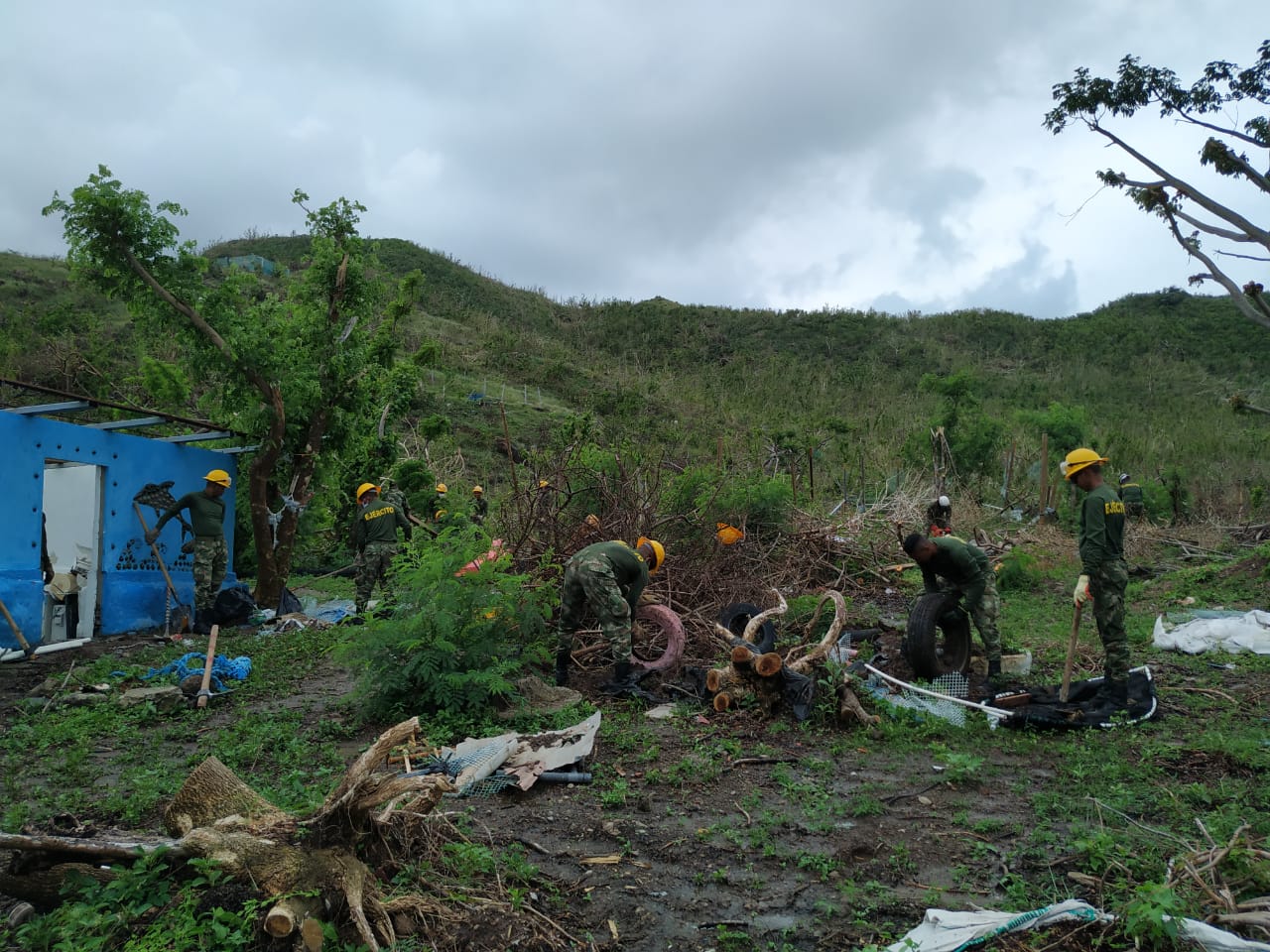 Comenzó la construcción del primer vivero para la restauración de la vegetación de las islas de Providencia y Santa Catalina Comenzó la construcción del primer vivero para la restauración de la vegetación de las islas de Providencia y Santa Catalina